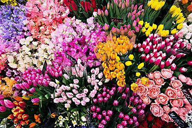 《淹没之城：隐藏深度》正式发售 上市宣传片欣赏